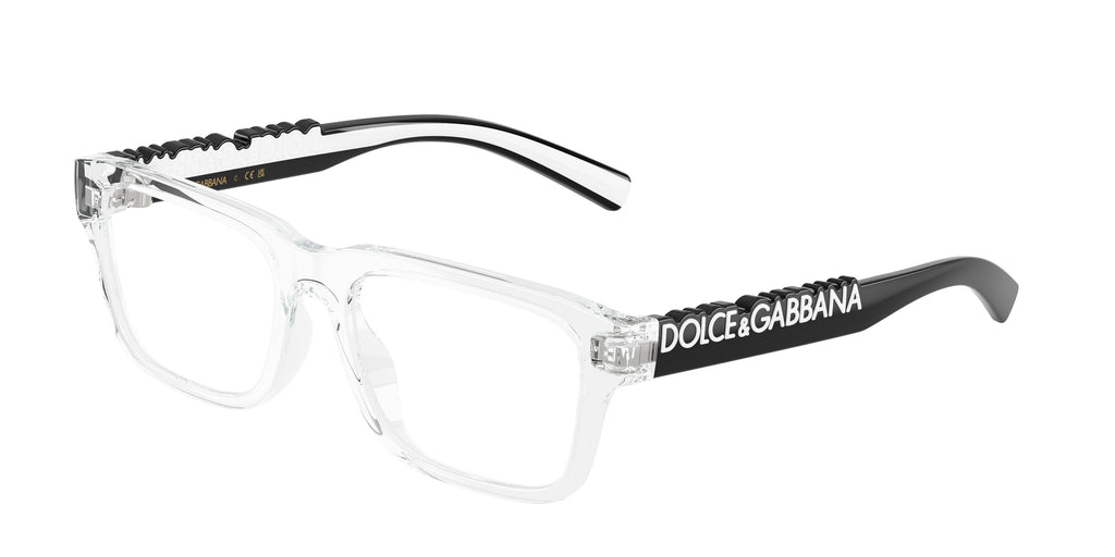 Dolce & Gabbana DX5008 3133
