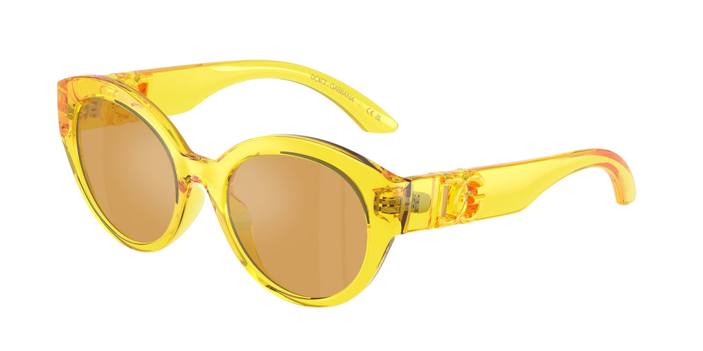 Dolce & Gabbana DX6010 333474