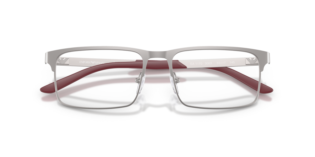 Emporio Armani EA1170 3003