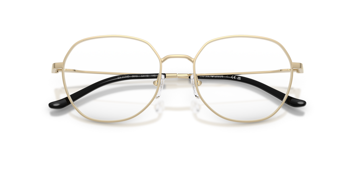 Emporio Armani EA1174D 3013