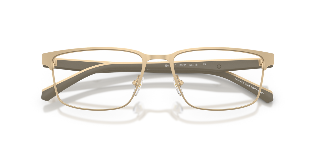 Emporio Armani EA1175 3002