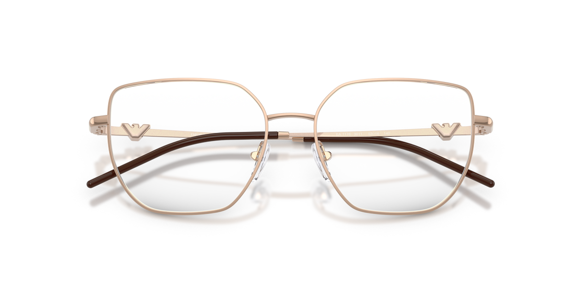 Emporio Armani EA1176 3011