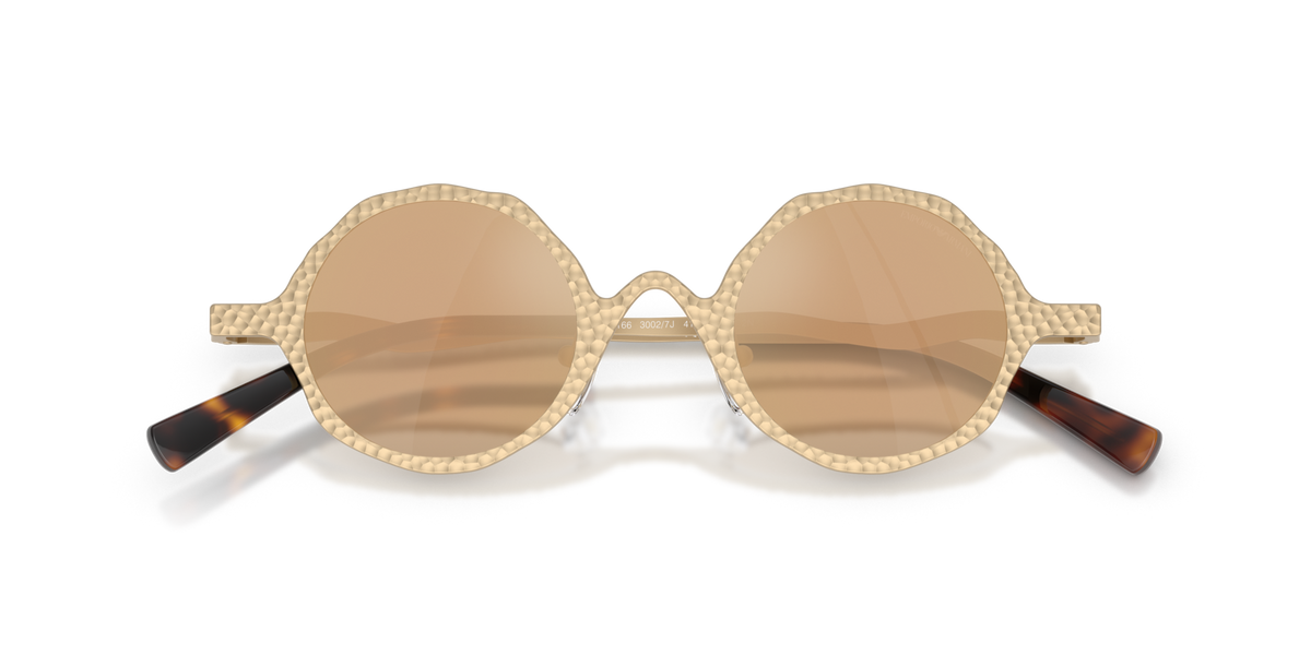 Emporio Armani EA2166 30027J