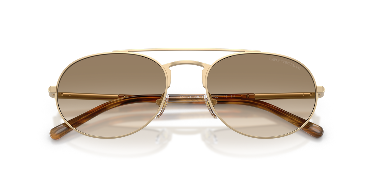 Emporio Armani EA2171 300213