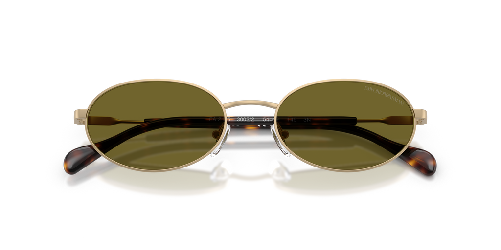 Emporio Armani EA2175 3002/2