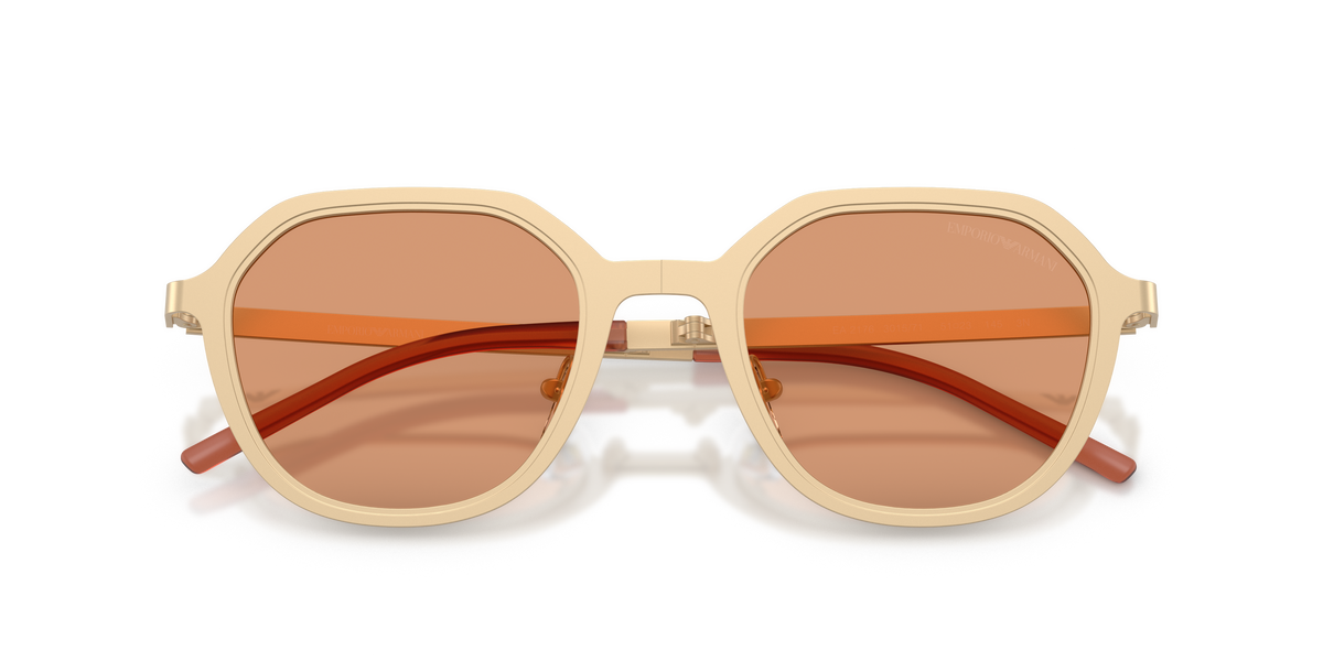 Emporio Armani EA2176 3002/7