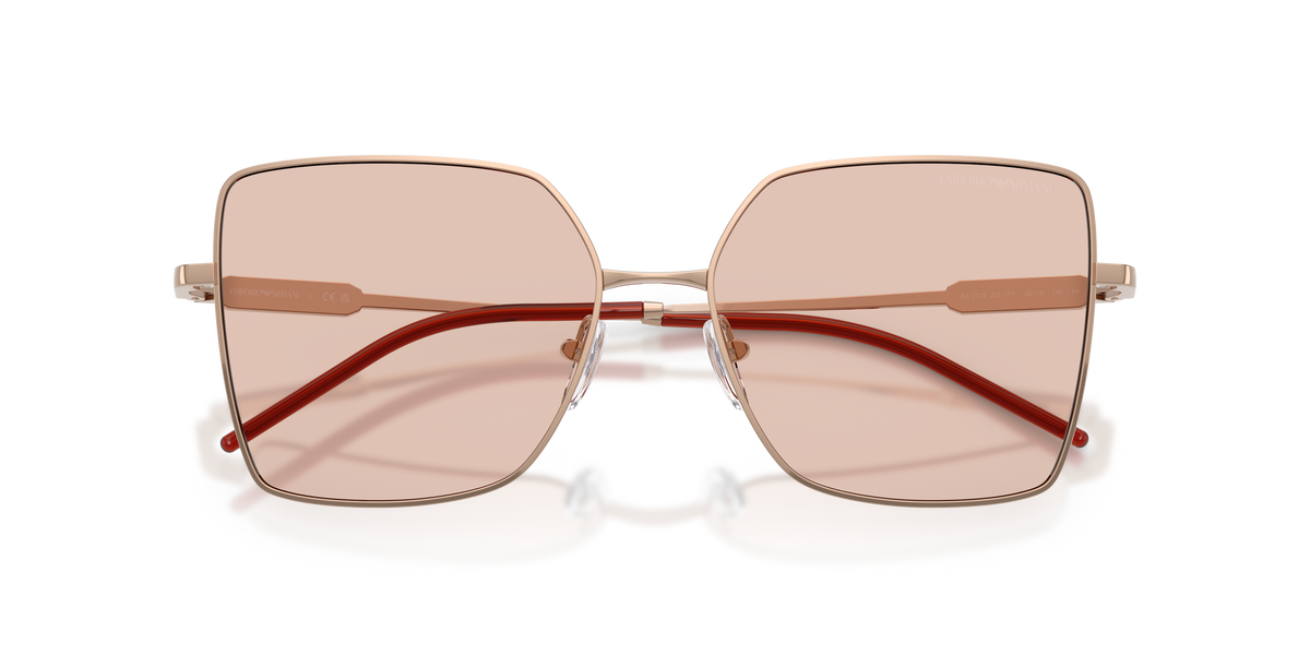 Emporio Armani EA2179 301173