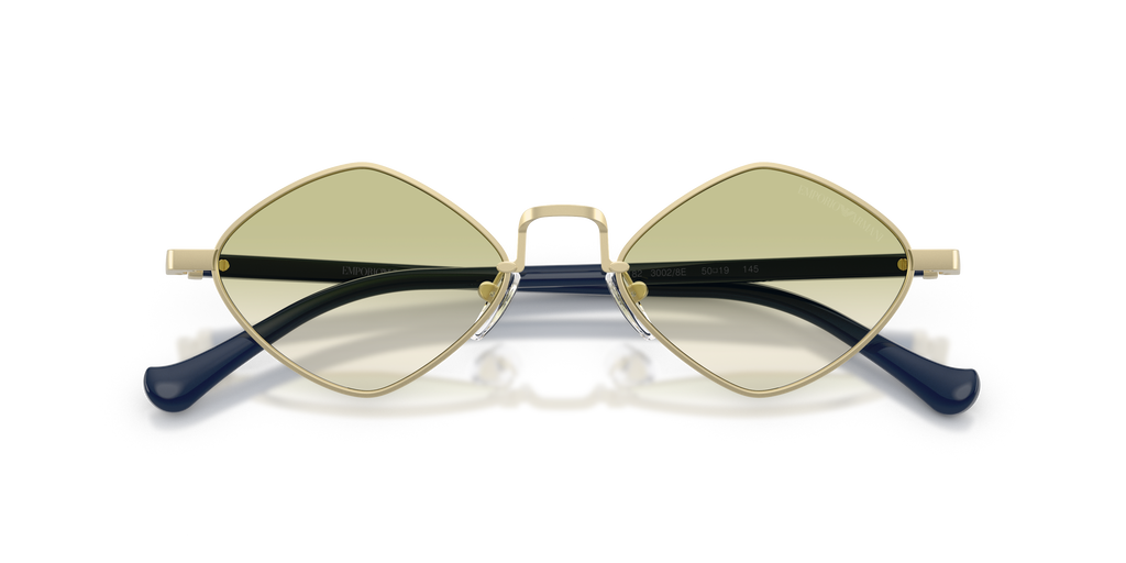 Emporio Armani EA2182 30028E