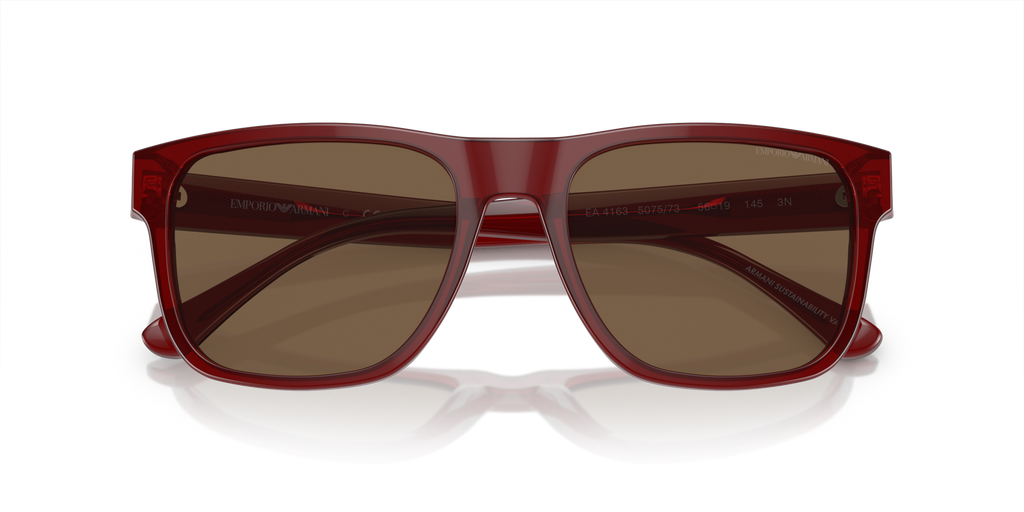 Emporio Armani EA4163 507573