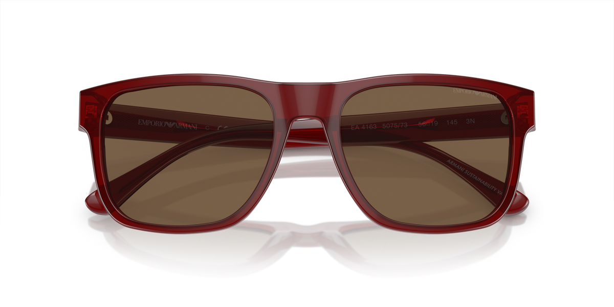 Emporio Armani EA4163 507573