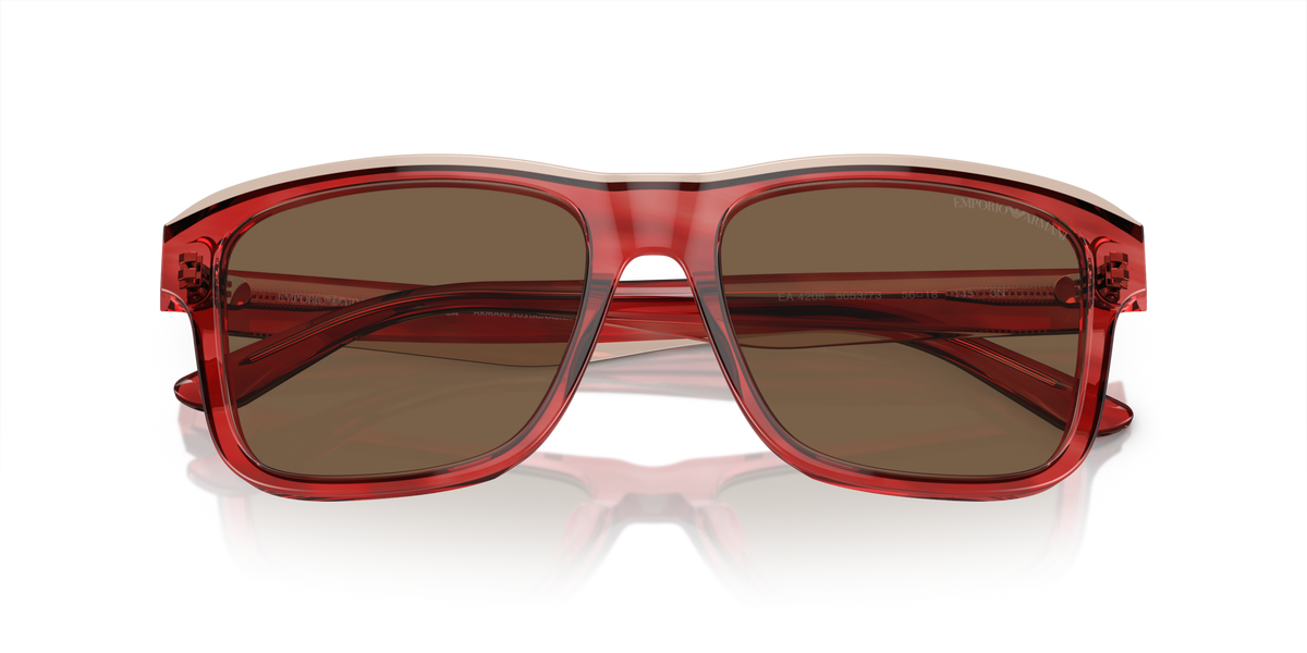 Emporio Armani EA4208 605373