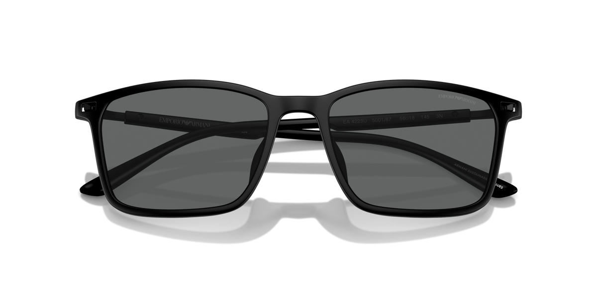 Emporio Armani EA4223U 500187
