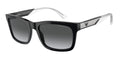 Emporio Armani EA4224 5017T3