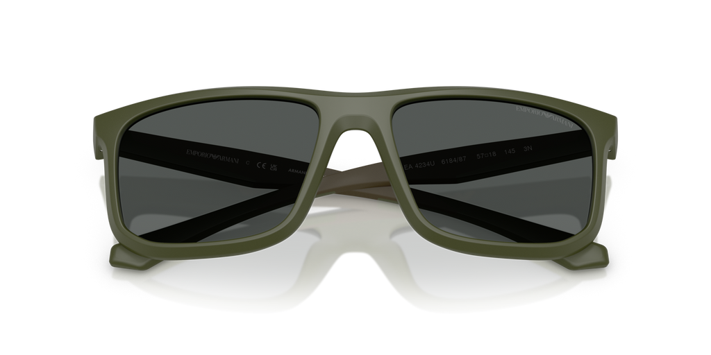 Emporio Armani EA4234U 618487