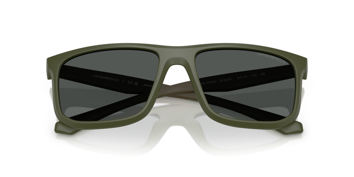 Emporio Armani EA4234U 618487