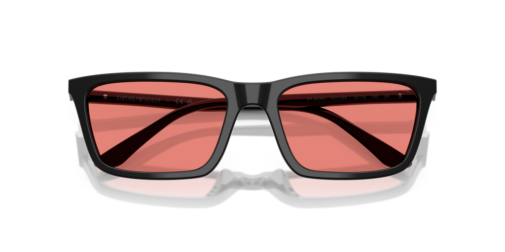 Emporio Armani EA4239U 501784
