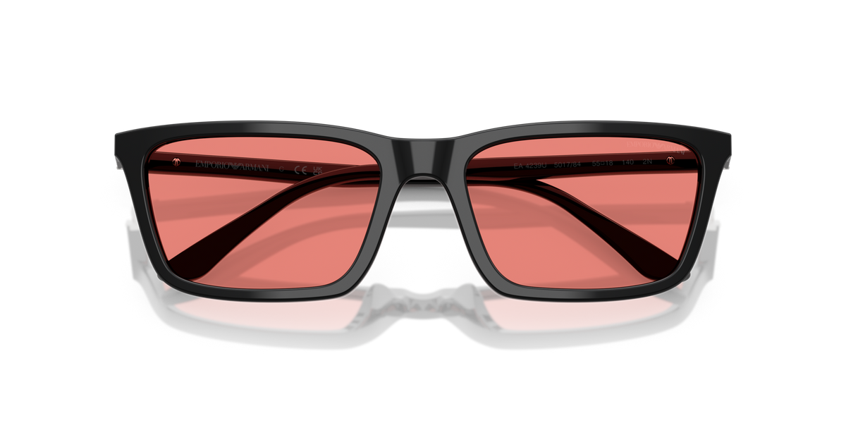 Emporio Armani EA4239U 501784