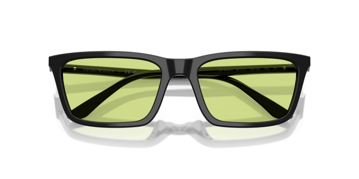Emporio Armani EA4239U 5017/2
