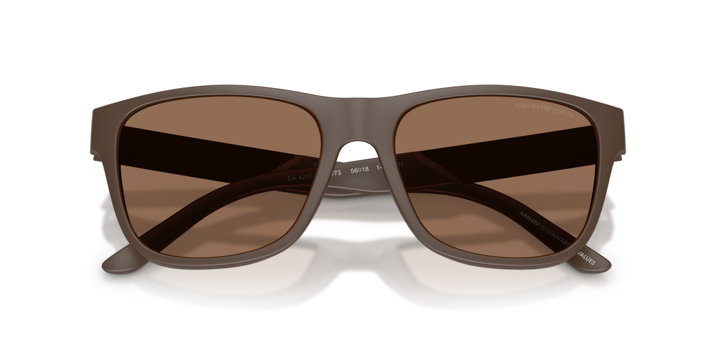 Emporio Armani EA4243 624373