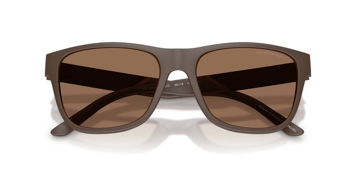 Emporio Armani EA4243 624373