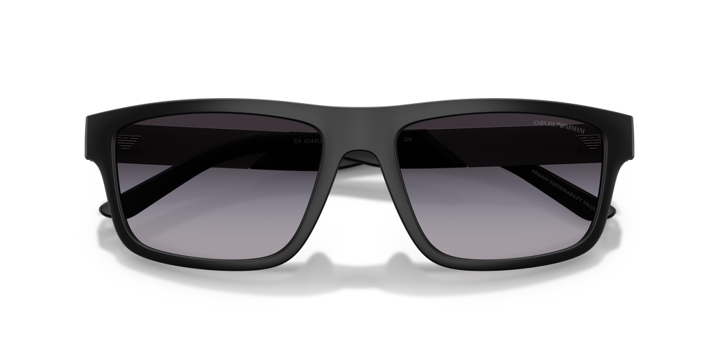 Emporio Armani EA4244U 50018G