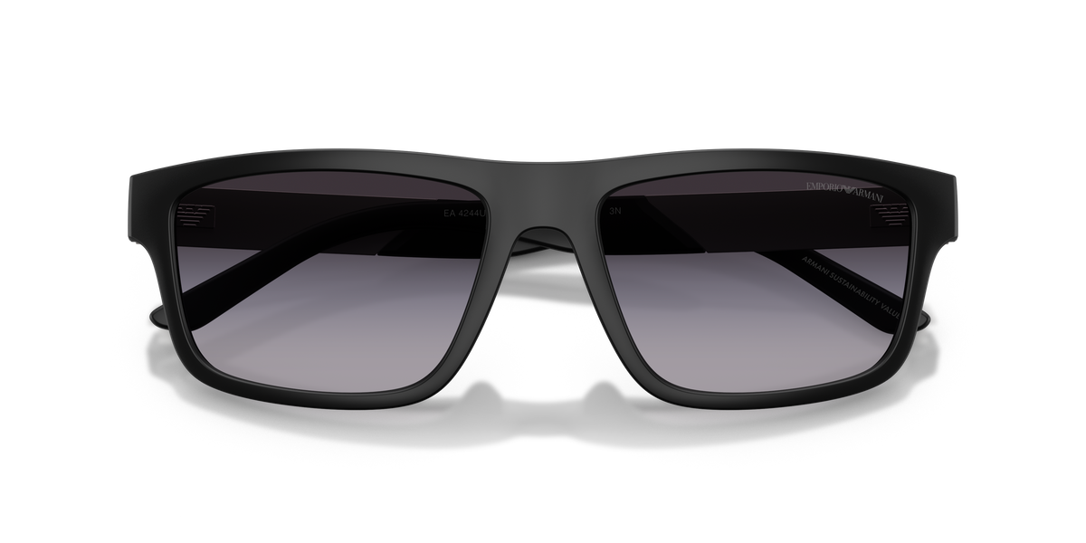 Emporio Armani EA4244U 50018G