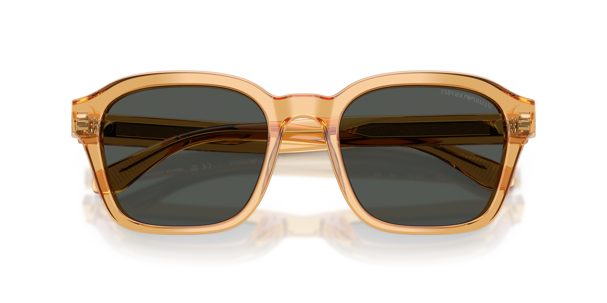 Emporio Armani EA4245U 624687
