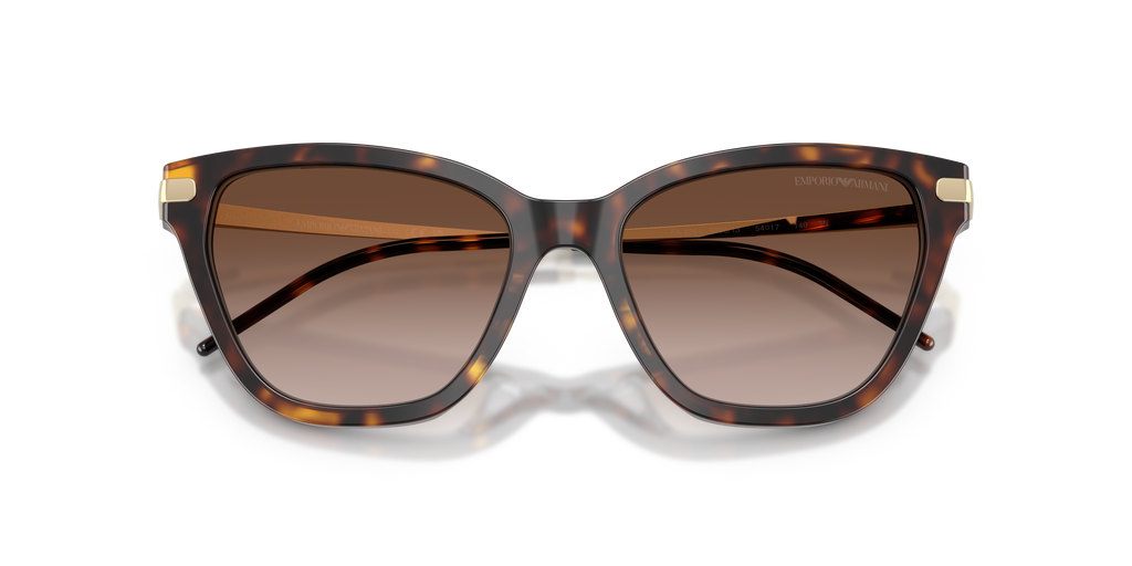 Emporio Armani EA4251 502613