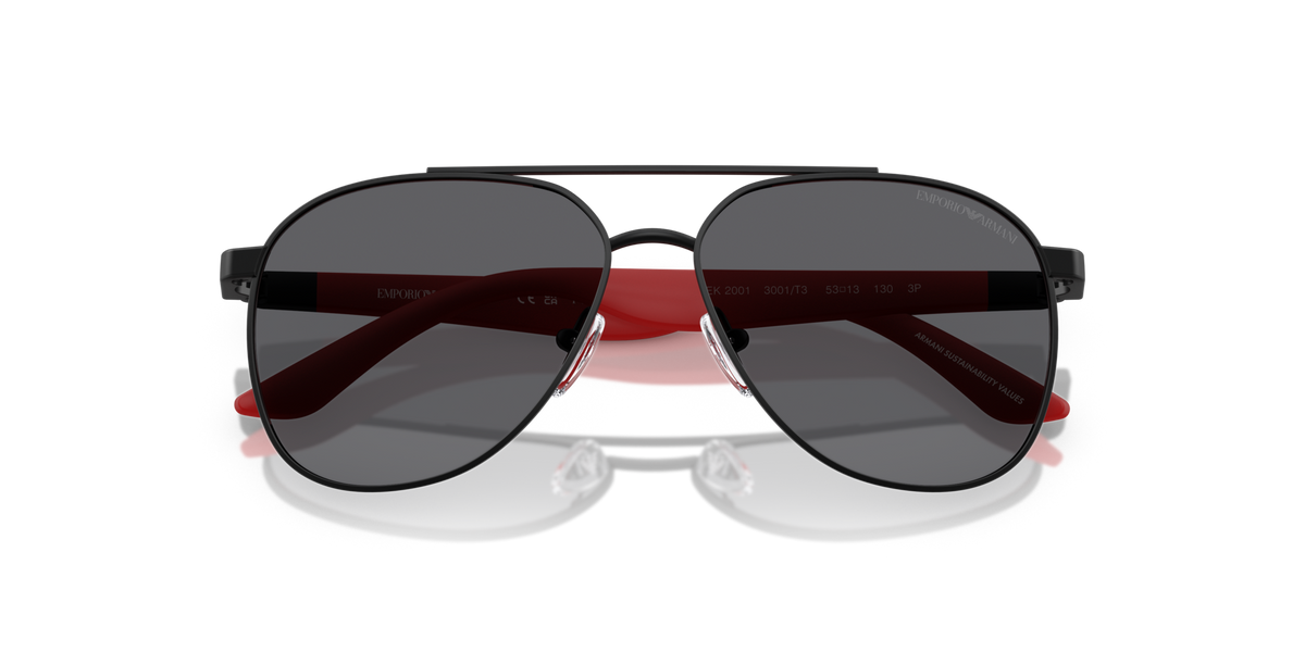 Emporio Armani EK2001 3001T3