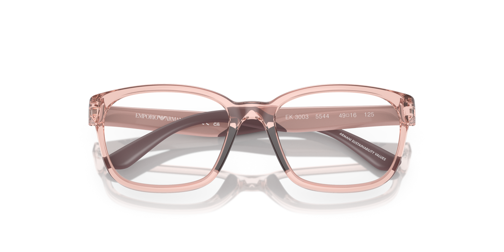 Emporio Armani EK3003 5544
