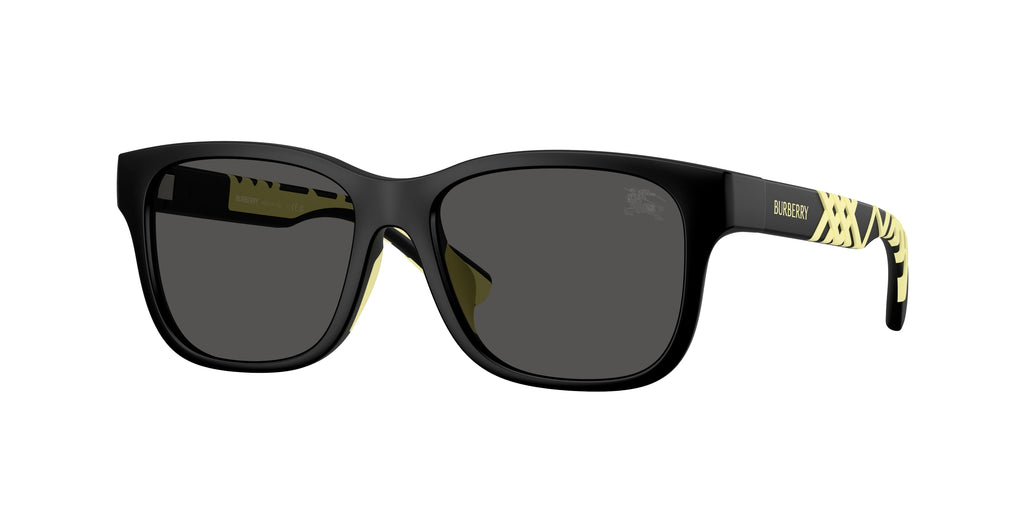 Burberry JB4007U 346487