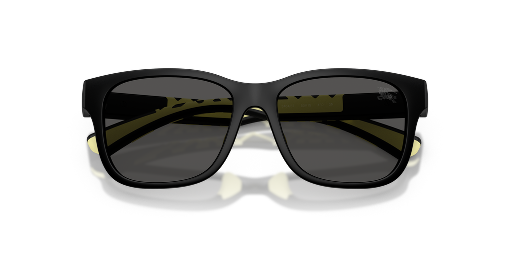 Burberry JB4007U 346487