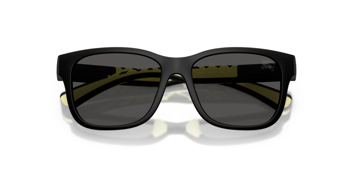 Burberry JB4007U 346487