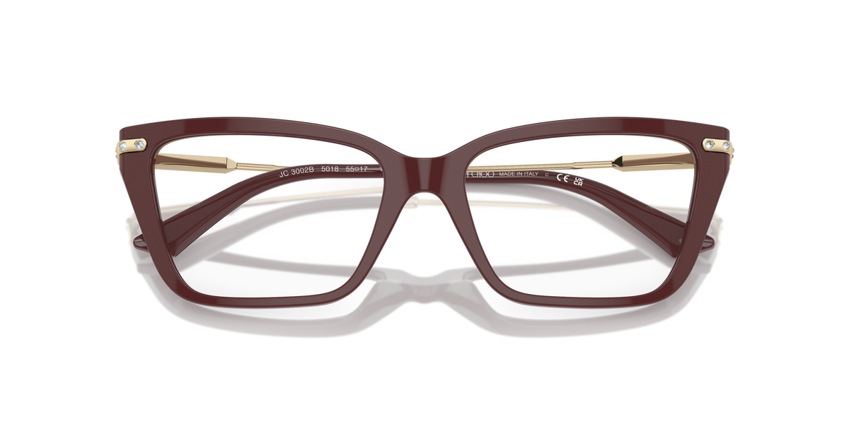 Jimmy Choo JC3002B 5018