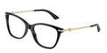 Jimmy Choo JC3007HB 5000