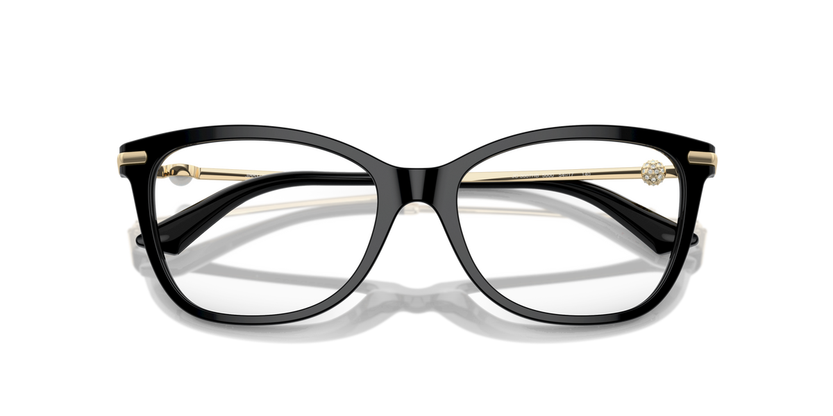 Jimmy Choo JC3007HB 5000