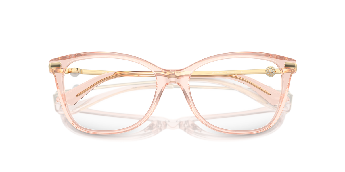Jimmy Choo JC3007HB 5034