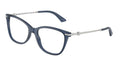 Jimmy Choo JC3007HB 5035