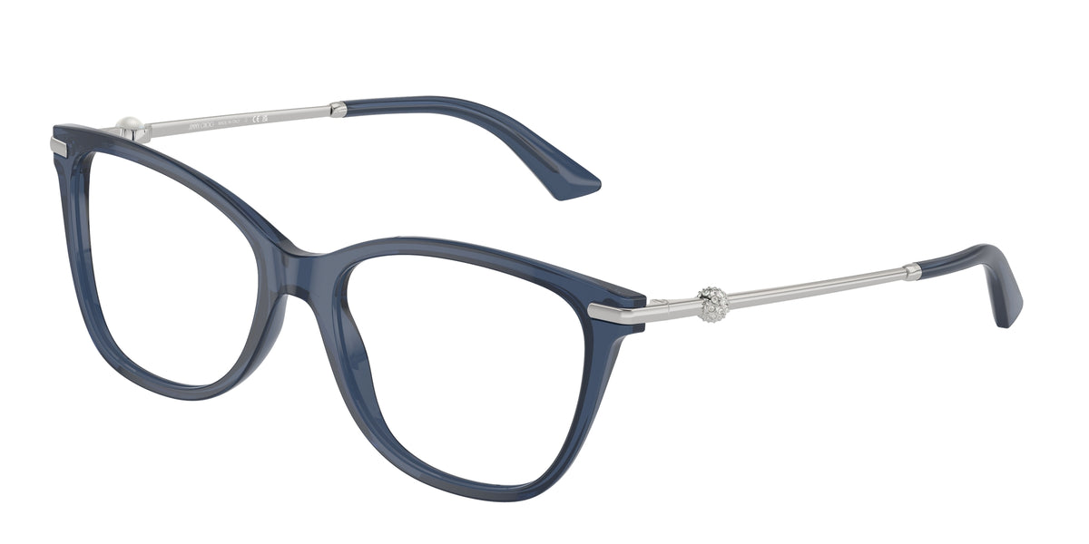 Jimmy Choo JC3007HB 5035