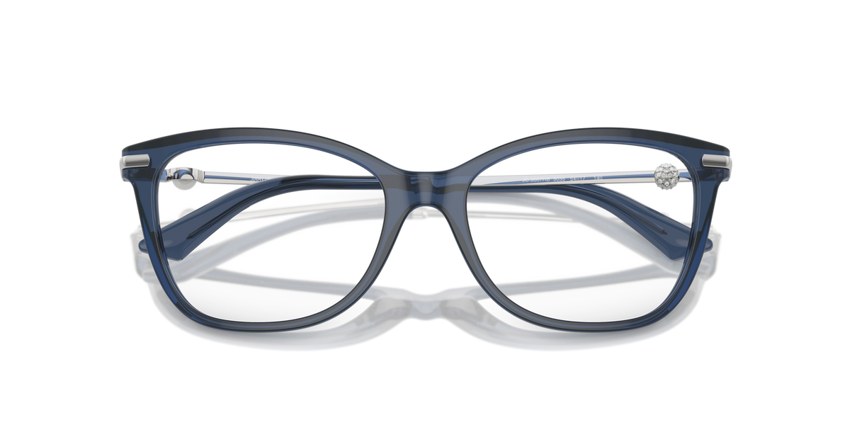 Jimmy Choo JC3007HB 5035