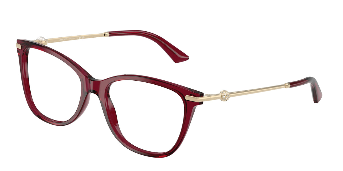 Jimmy Choo JC3007HB 5062