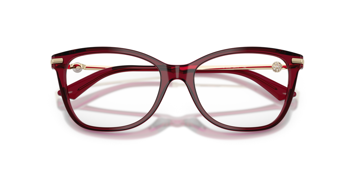 Jimmy Choo JC3007HB 5062