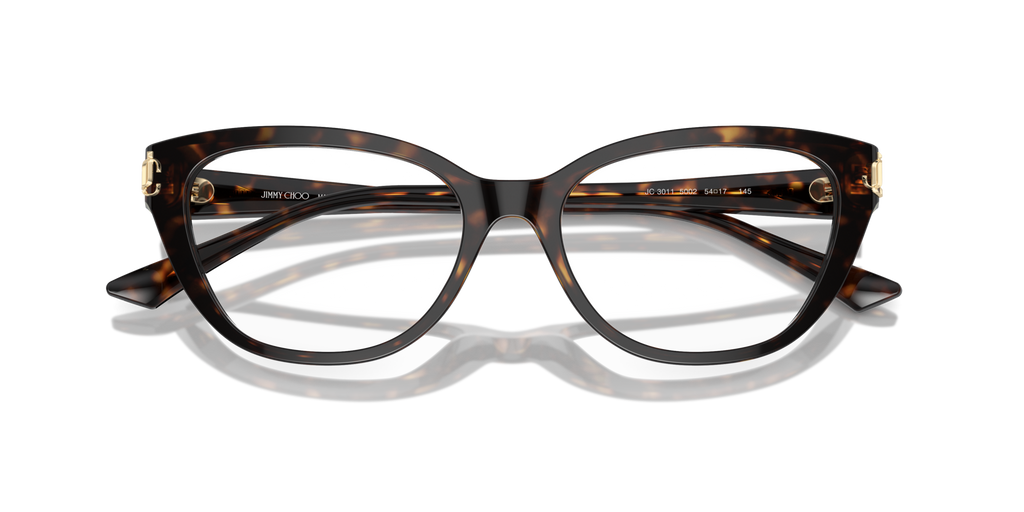 Jimmy Choo JC3011 5002