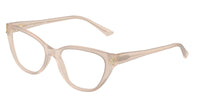 Jimmy Choo JC3011 5025