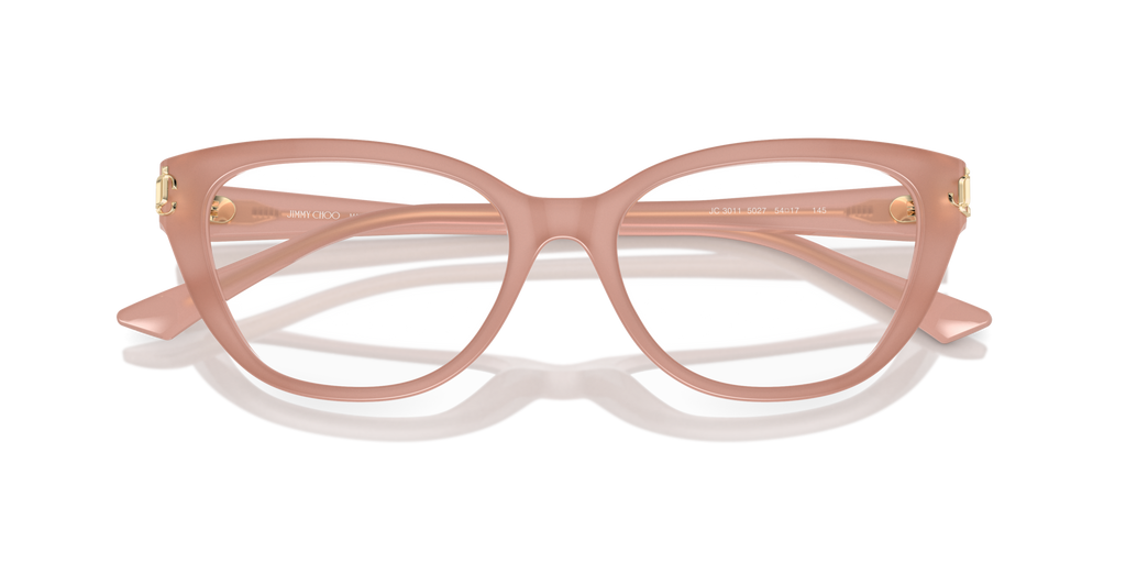 Jimmy Choo JC3011 5027