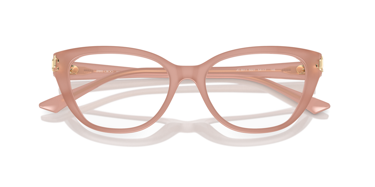 Jimmy Choo JC3011 5027