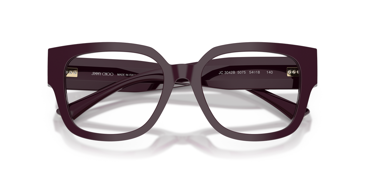 Jimmy Choo JC3042B 5075