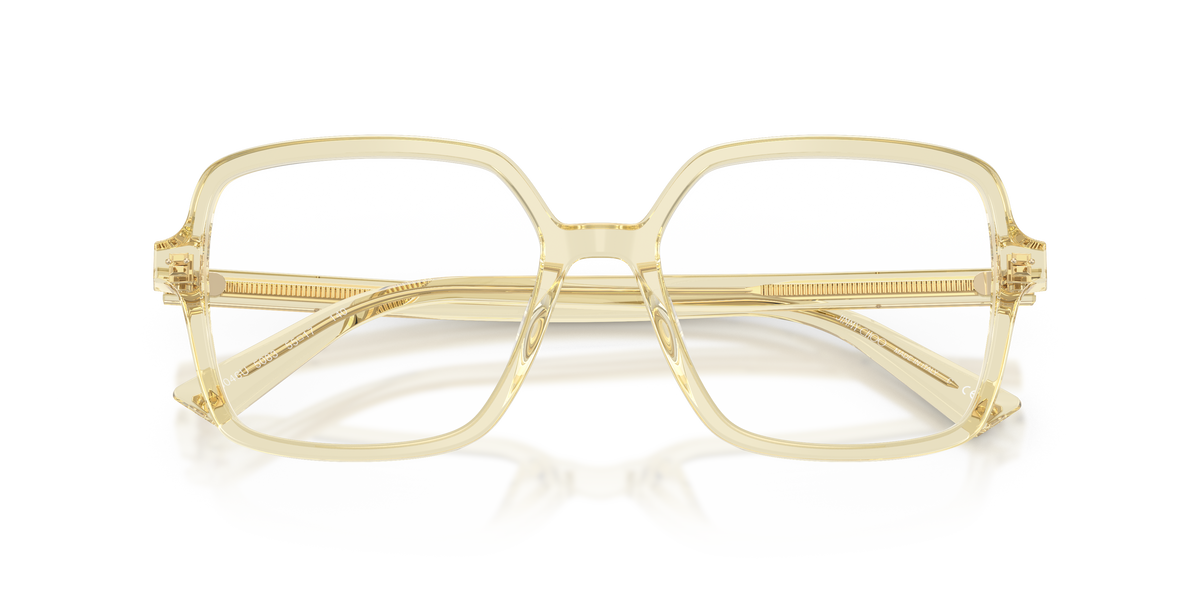 Jimmy Choo JC3046U 5083
