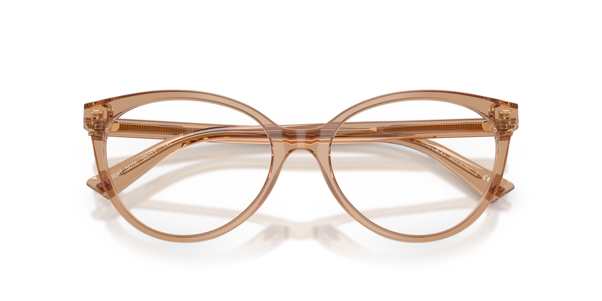 Jimmy Choo JC3047 5076