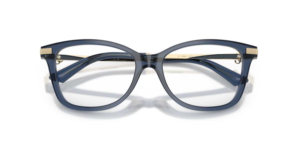 Jimmy Choo JC3068B 5035